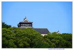 12052023_Sony A7 II_Kyushu Tour_Kumamoto Castle00013