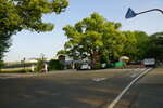 12052023_Sony A7 II_Kyushu Tour_Kumamoto Castle00037