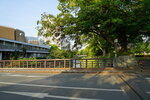 12052023_Sony A7 II_Kyushu Tour_Kumamoto Castle00057