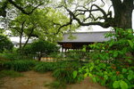 13052023_Sony A7 II_Kyushu Tour_Dazaifu Tenmangu00056