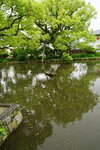 13052023_Sony A7 II_Kyushu Tour_Dazaifu Tenmangu00058