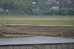 13052023_Sony A7 II_Kyushu Tour_Way to Sagakan Tosu Premium Outlets00023