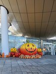 04112023_Hong Kong Science Park00001