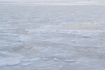 06022023_Nikon D5300_24th Round to Hokkaido_Abashiri Ice Breaker Cruise00079