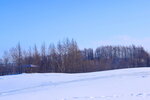 06022023_Nikon D5300_24th Round to Hokkaido_Koshimizu Lily Park Snow Mobile Land00008