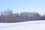 06022023_Nikon D5300_24th Round to Hokkaido_Koshimizu Lily Park Snow Mobile Land00009