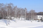 06022023_Nikon D5300_24th Round to Hokkaido_Koshimizu Lily Park Snow Mobile Land00010