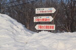 07022023_Nikon D5300_24th Round to Hokkaido_Shiretoko Forest Ecosystem adjacent to Kiki Hotel00002