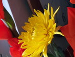 21012023_Lunar New Year Home Flowers00016
