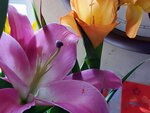 21012023_Lunar New Year Home Flowers00035