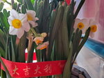 21012023_Lunar New Year Home Flowers00047