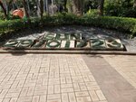 29012023_Ma Wan00001