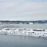 06022023_Samsung Smartphone Galaxy S10 Plus_24th Round to Hokkaido_Abashiri Ice Breaker Cruise 00010