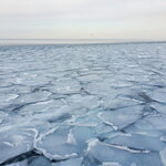 06022023_Samsung Smartphone Galaxy S10 Plus_24th Round to Hokkaido_Abashiri Ice Breaker Cruise 00028