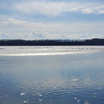 06022023_Samsung Smartphone Galaxy S10 Plus_24th Round to Hokkaido_Tofutsuko00009