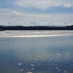 06022023_Samsung Smartphone Galaxy S10 Plus_24th Round to Hokkaido_Tofutsuko00010