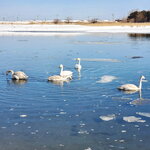 06022023_Samsung Smartphone Galaxy S10 Plus_24th Round to Hokkaido_Tofutsuko00018