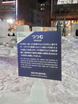 08022023_Samsung Smartphone Galaxy S10 Plus_24th Round to Hokkaido_Sapporo Odori Koen Snow Matsuri00014