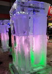 08022023_Samsung Smartphone Galaxy S10 Plus_24th Round to Hokkaido_Susukino Ice Sculptures Matsuri00007