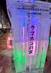 08022023_Samsung Smartphone Galaxy S10 Plus_24th Round to Hokkaido_Susukino Ice Sculptures Matsuri00008