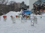 09022023_Samsung Smartphone Galaxy S10 Plus_24th Round to Hokkaido_Hokkaido-cho Kyu Honchosha00004