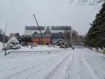 09022023_Samsung Smartphone Galaxy S10 Plus_24th Round to Hokkaido_Hokkaido-cho Kyu Honchosha00005