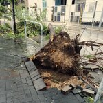 02092023_Day After Signal Number 10_Super Typhoon Saola00018