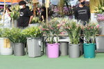 20012023_Nikon D5300_Victoria Park Lunar New Year Flower Fair_Venue00004