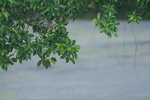 15012023_Taipo Waterfront Park00006