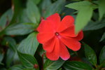 15012023_Taipo Waterfront Park00021