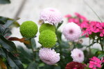 15012023_Taipo Waterfront Park00027