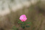 17092023_Taipo Waterfront Park00007