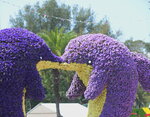 10032023_Nikon D800_Hong Kong Flower Show_Venue_Victoria Park00024