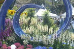 10032023_Nikon D800_Hong Kong Flower Show_Venue_Victoria Park00054
