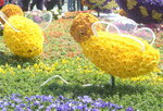 10032023_Nikon D800_Hong Kong Flower Show_Venue_Victoria Park00062