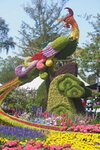 10032023_Nikon D800_Hong Kong Flower Show_Venue_Victoria Park00064