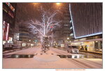 14012024_Canon EOS 5Ds_26th round to Hokkaido Tour_Sapporo White Illumination00010