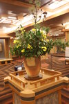 17012024_Canon EOS 5Ds_26th round to Hokkaido Tour_Akanko Truruga Wings Hotel00033
