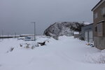 17012024_Canon EOS 5Ds_26th round to Hokkaido Tour_Shiretoko Morning00039