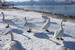 17012024_Canon EOS 5Ds_26th round to Hokkaido Tour_Sunayu00016
