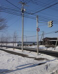 18012024_Canon EOS 5Ds_26th round to Hokkaido Tour_Way to Tokachi Ranch Shirakaba Row00021