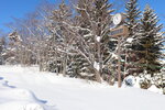 19012024_Canon EOS 5Ds_26th round to Hokkaido Tour_Takino Suzuran Hillside Park00019