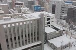 20012024_Canon EOS 5Ds_26th round to Hokkaido Tour_A Snowy Susukino Morning00002