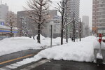20012024_Canon EOS 5Ds_26th round to Hokkaido Tour_A Snowy Susukino Morning00009