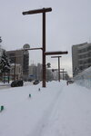 20012024_Canon EOS 5Ds_26th round to Hokkaido Tour_A Snowy Susukino Morning00017