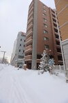 20012024_Canon EOS 5Ds_26th round to Hokkaido Tour_A Snowy Susukino Morning00036