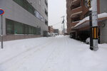 20012024_Canon EOS 5Ds_26th round to Hokkaido Tour_A Snowy Susukino Morning00037