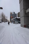 20012024_Canon EOS 5Ds_26th round to Hokkaido Tour_A Snowy Susukino Morning00044