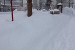 20012024_Canon EOS 5Ds_26th round to Hokkaido Tour_A Snowy Susukino Morning00051