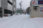 20012024_Canon EOS 5Ds_26th round to Hokkaido Tour_A Snowy Susukino Morning00055